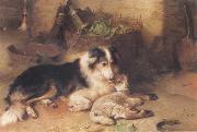 Walter Hunt The Shepherd-s Pet oil painting on canvas